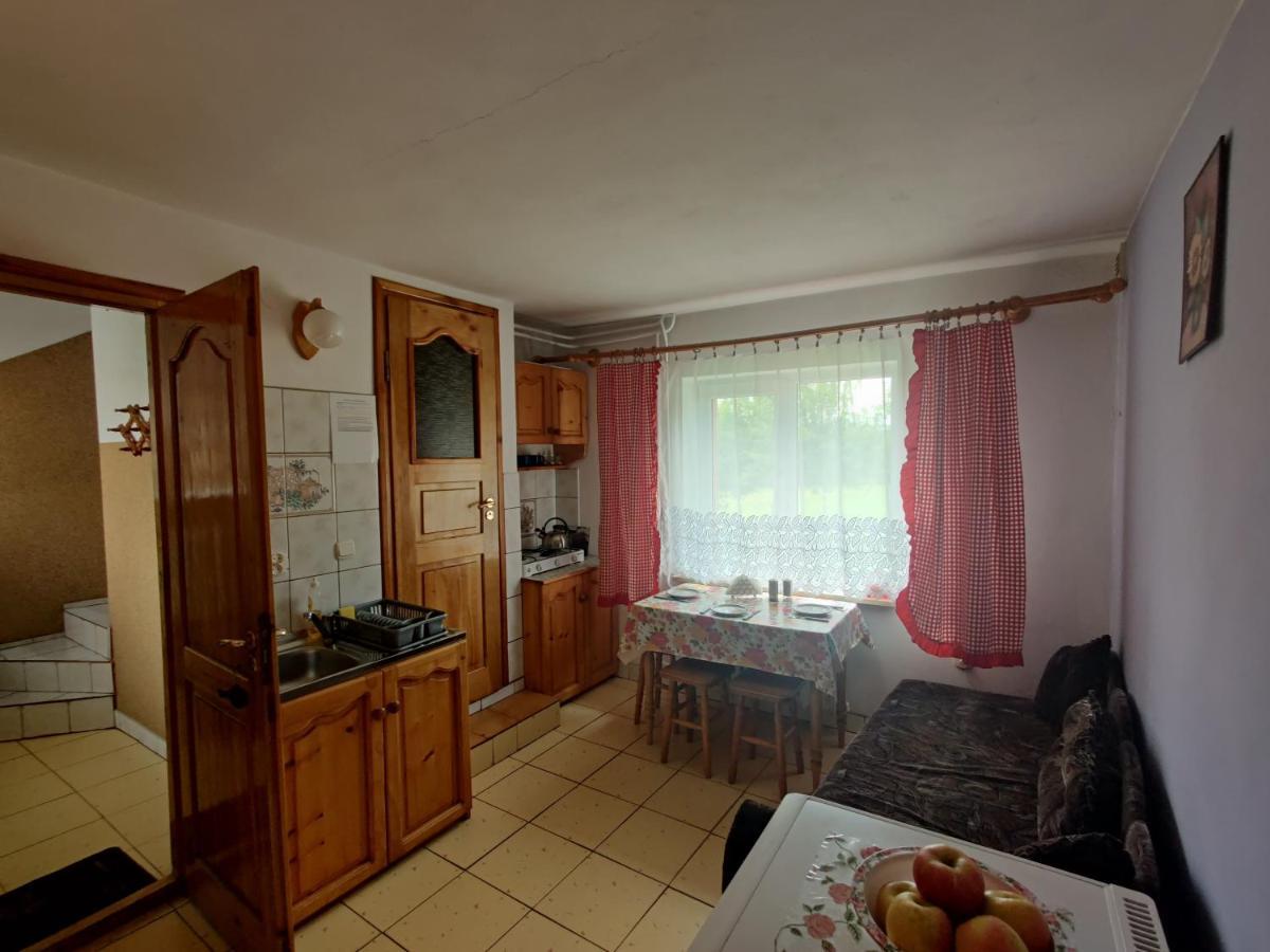 Przy Winogronie Hotel Uherce Mineralne Luaran gambar