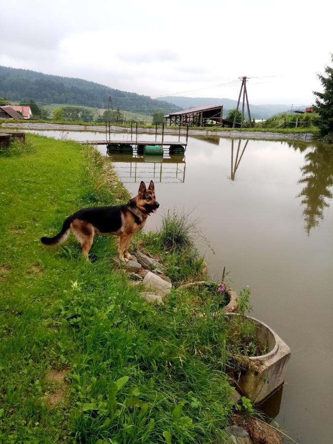 Przy Winogronie Hotel Uherce Mineralne Luaran gambar
